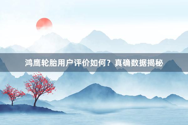 鸿鹰轮胎用户评价如何？真确数据揭秘